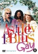 Absolutely fabulous - gay op DVD, CD & DVD, DVD | Comédie, Envoi