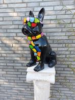 Statue, hand painted dog with sunglasses in diverse color -