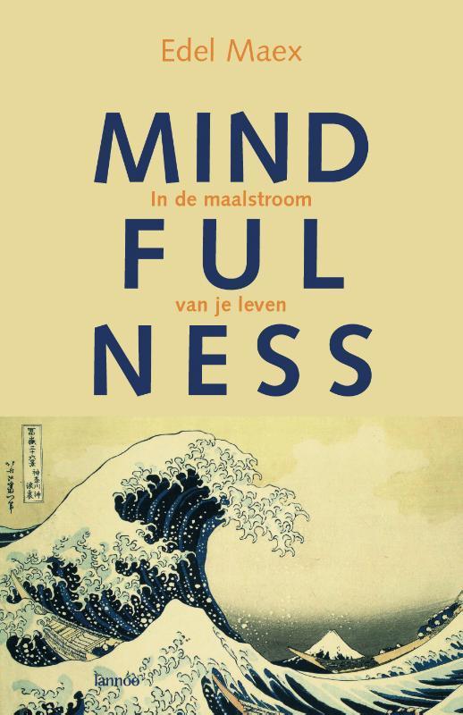 Mindfulness 9789020965162 Edel Maex, Livres, Ésotérisme & Spiritualité, Envoi