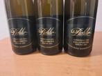 2023 Weingut F.X. Pichler, Riesling Dürnsteiner Kellerberg -, Verzamelen, Nieuw