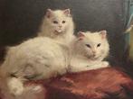 Boleradszky Beno (1885-1957) - Fluffy Cats Sitting by the, Antiek en Kunst