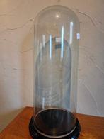 Globe - stolp - antiek - 1901-1920 - Antieke ronde stolp, Antiek en Kunst