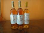 2009 Chateau Coutet x 2 & 2015 Chateau Filhot - Sauternes, Nieuw