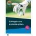 Golfregels voor startende golfers 9789085166269, Livres, Nederlandse Golf Federatie, Verzenden