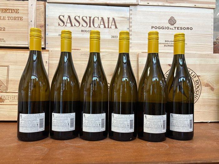 2023 Derthona Vigneti Massa - Piëmont - 6 Flessen (0.75, Verzamelen, Wijnen