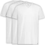 2dekans | LEBASQ - Davis T-shirt voor heren - 3 pack - met, Ophalen of Verzenden, Nieuw