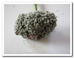 Fieldberries antraciet zilvergrijs /doos voor bloemschik an