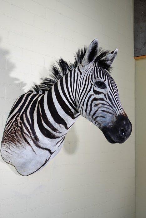 Zebra Head Taxidermie wandmontage - Equus quagga - 45 cm -, Verzamelen, Dierenverzamelingen