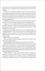 Drie Keer Maakt Een Tijger 9789045100647 B. de Koster, Verzenden, Gelezen, B. de Koster