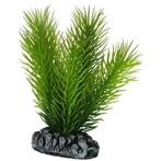 Osaka aquarium kunst plant Mayaca 7cm art. 584, Dieren en Toebehoren, Vissen | Aquaria en Toebehoren, Ophalen of Verzenden, Nieuw