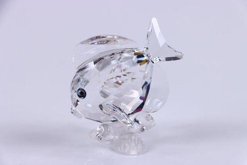 Figure - Swarovski - Doktersvis op Koraal (Boxed +, Antiek en Kunst, Curiosa en Brocante