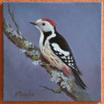 Anna Frolova (XX-XXI) -