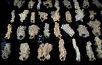 Lot de 40 fulgurites, intérieur de tube en verre creux,