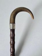 Gedetailleerde Wandelstok - Hout, Hoorn, Zilver - Ca. 1896