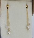 Oorbellen - 18 karaat Geel goud - 5mm Akoya parels, Handtassen en Accessoires, Oorbellen, Nieuw