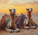 Irina Collins - Desert Royals · NO Reserve