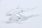 Figuur - Swarovski - Baby haai (Boxed + certificate) -