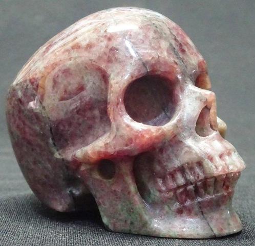 Calavera de 3 taillée et polie en Grenade - Série, Verzamelen, Dierenverzamelingen