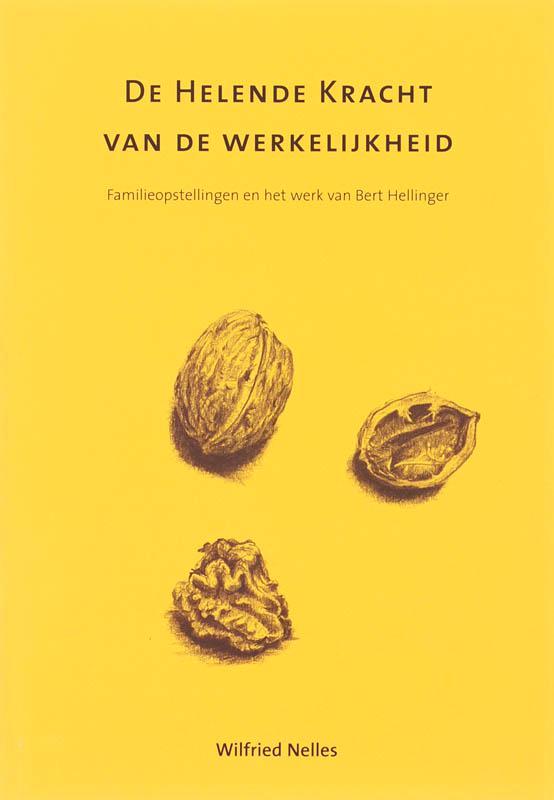 De helende kracht van de werkelijkheid 9789077290095, Livres, Psychologie, Envoi