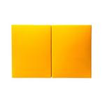 Kabinet - Plastic - DDR-wandkast