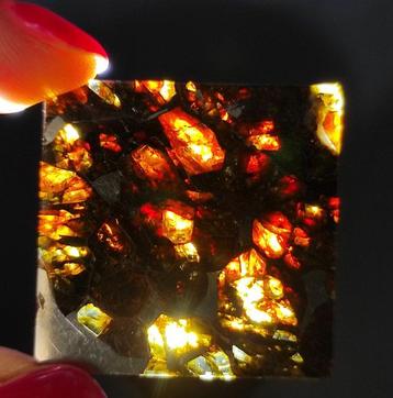 Météorite Pallasite Scherico Tranche - Hauteur : 0.5 cm -