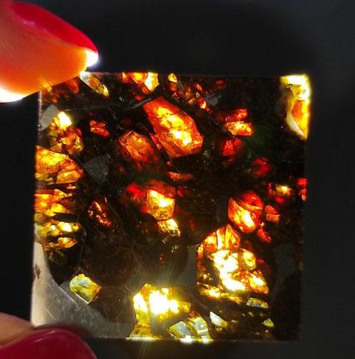 Météorite Pallasite Scherico Tranche - Hauteur : 0.5 cm -, Verzamelen, Mineralen en Fossielen