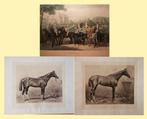 Themacollectie - Lithografieën van paarden en, Antiek en Kunst