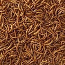 Pure Gedroogde meelwormen 5 L, Dieren en Toebehoren, Dierenvoeding