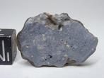 Maan meteoriet gesmolten breccia volledige doorsnede NWA, Verzamelen, Mineralen en Fossielen