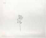 Marsupilami : Original Animation Production Drawing (1993) -, Nieuw in verpakking
