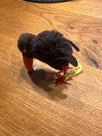 Steiff - Speelgoed Vogel - Duitsland