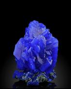 s werelds grootste +2kg XXXL ROYAL BLUE! Electric Blue