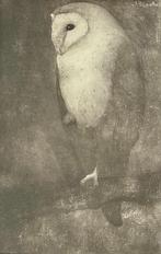 Jan Mankes (1889–1920), after - Kerkuil Op Tak, Antiek en Kunst