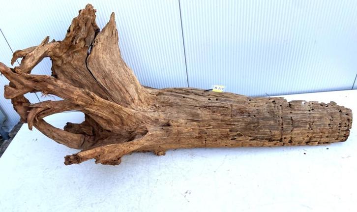 Osaka XL219 uniek aquarium decoratie hout  160x75x65cm, Dieren en Toebehoren, Vissen | Aquaria en Toebehoren, Plant(en), Steen of Hout