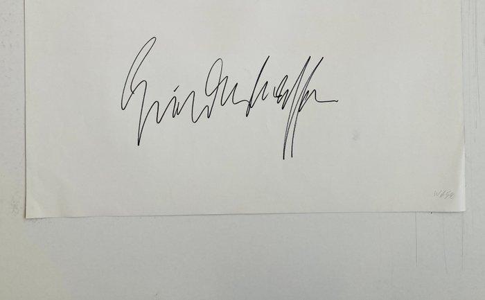 Friedensreich Hundertwasser (after) - Greenpeace - Save the, Antiquités & Art, Art | Dessins & Photographie