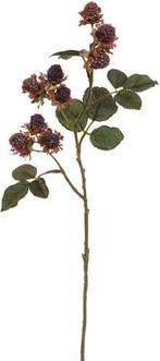 Bramen Tak Mulberry Spray Paars 54 cm, Nieuw