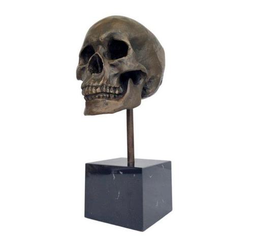 Figuur - Skull - Brons, Marmer, Antiek en Kunst, Curiosa en Brocante