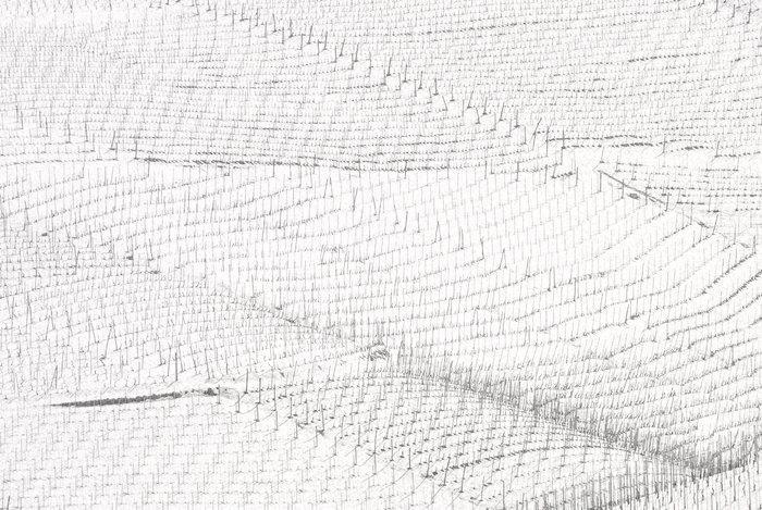 Franco Turcati - Langhe, Piemonte (352), Antiquités & Art, Art | Objets design