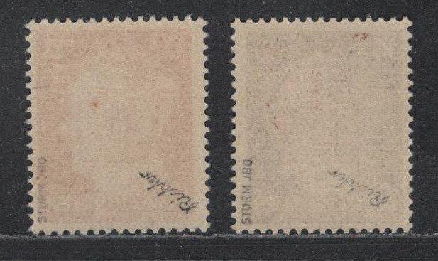 lokale uitgaven 1945 - Wurzen, Hitler 10 en 12 Pf. in, Postzegels en Munten, Postzegels | Europa | Duitsland