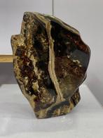 Polished Leopard Skin Jasper – Indrukwekkend orbiculair