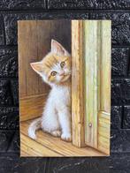 G. Morello (XX-XXI) - Curiosità