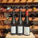 2022 x 2 Bertrand Bachelet Chassagne Montrachet & 1993, Collections, Vins