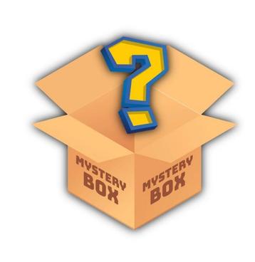 Ontdek de Verrassing in Onze Pokémon Mystery Boxen! beschikbaar voor biedingen