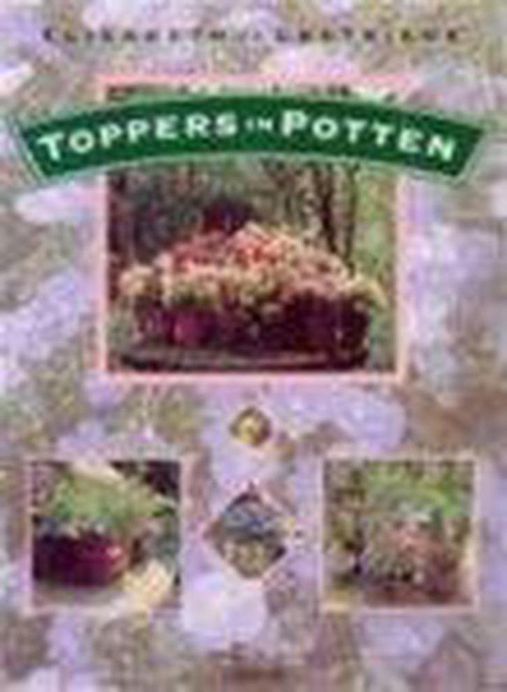 TOPPERS IN POTTEN / Bloemen en planten 9789052101712, Boeken, Hobby en Vrije tijd, Zo goed als nieuw, Verzenden