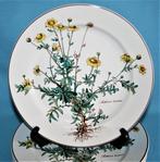 Villeroy & Boch - Assiette à dîner (6) - Botanica - Vitro