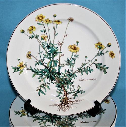 Villeroy & Boch - Assiette à dîner (6) - Botanica - Vitro, Antiek en Kunst, Antiek | Meubels | Tafels