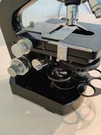 Binocular microscope - M20 phase contrast - 1950-1960 -