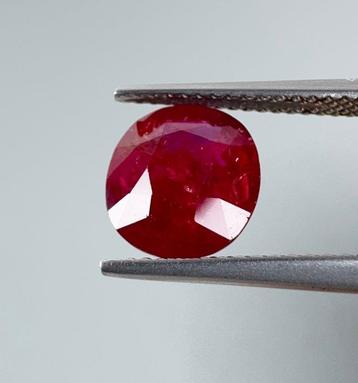 Rubis - 3.35 ct - Lotus Gemology (Thaïlande) - Pas de