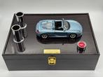 1:24 - Model sportwagen - Porsche Carrera GT Pure Sound –
