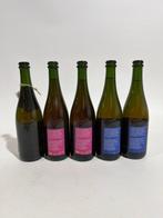 Santa Pau Ale Works - Divers ales - voir la description -